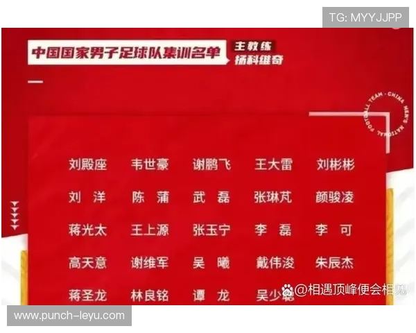 中国足球三大球星现状分析及未来发展趋势探讨